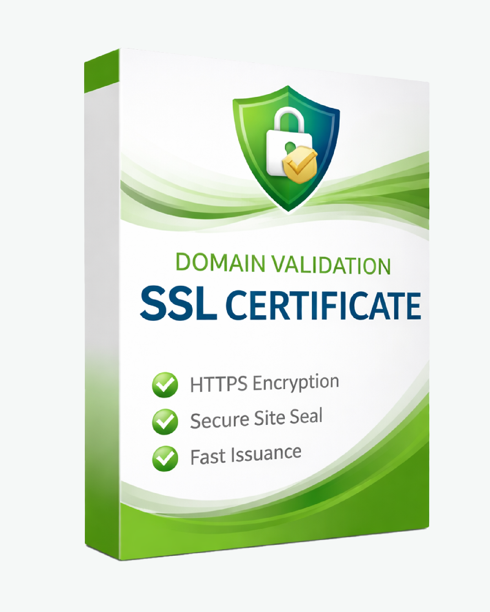 Organization Validation (OV) SSL Certificate (12 Months)